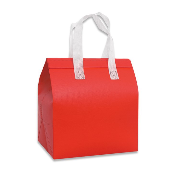 Reusable Aluminum Foil Insulated Bag best